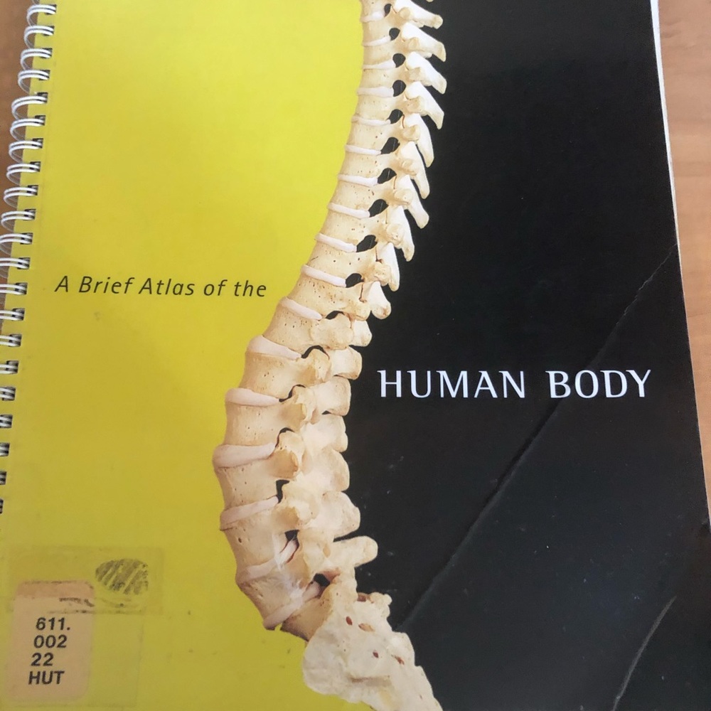 Human Body Atlas